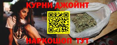 крисы Новодвинск