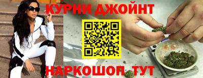 крисы Новодвинск