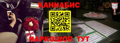 крисы Новодвинск