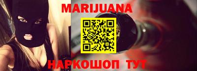крисы Новодвинск