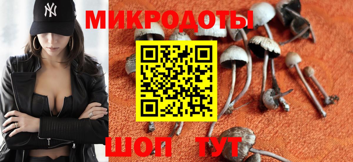 Псилоцибиновые грибы Psilocybe Октябрьский